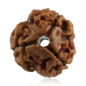 9 mukhi